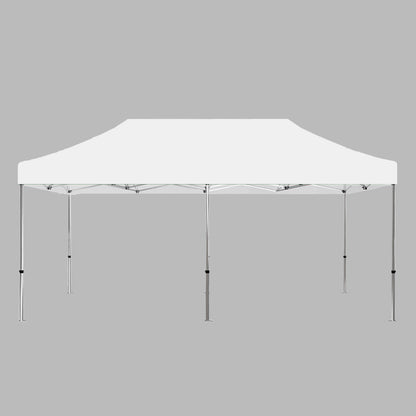 Blank Canopy Tent 10x20 FT