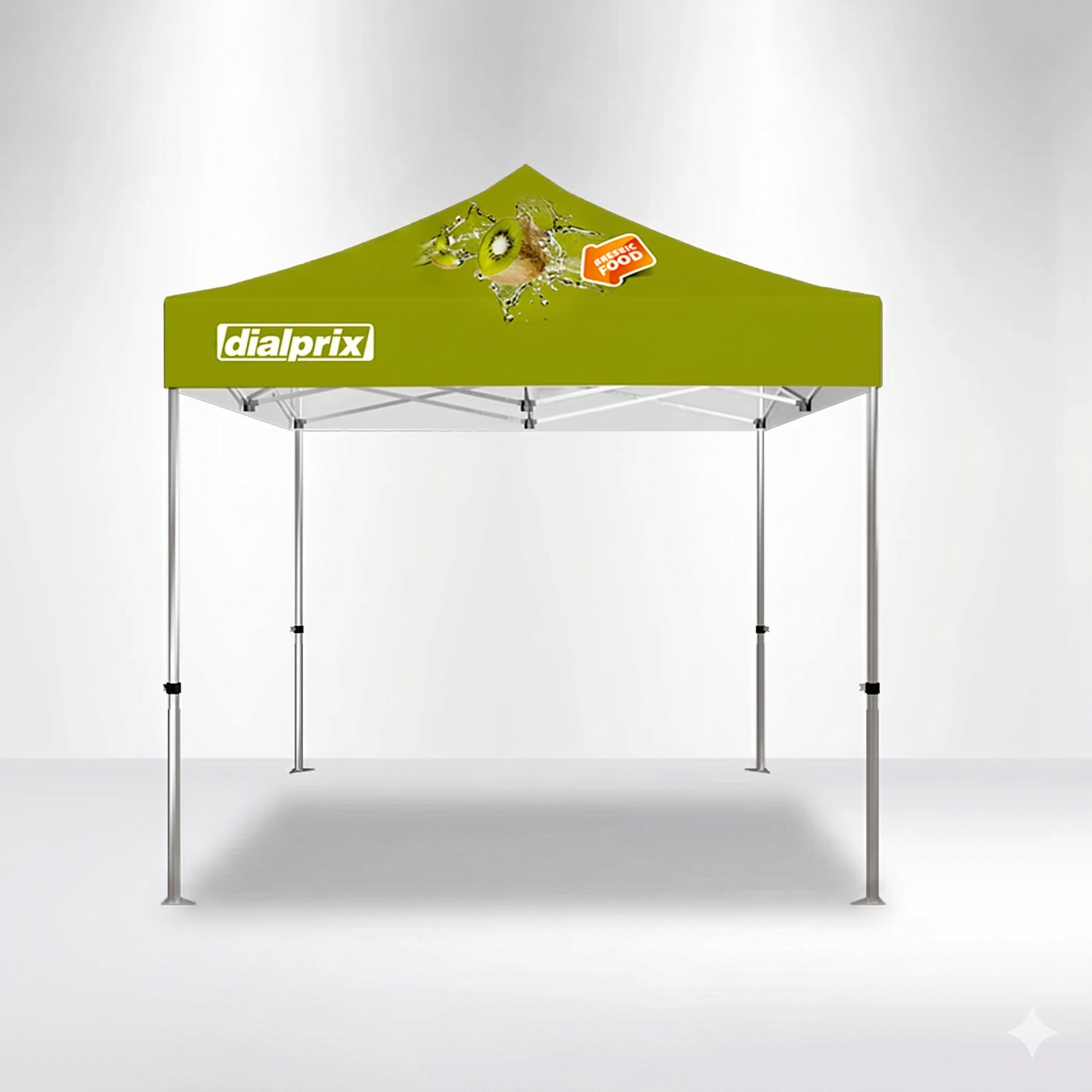 Canopy & Frame